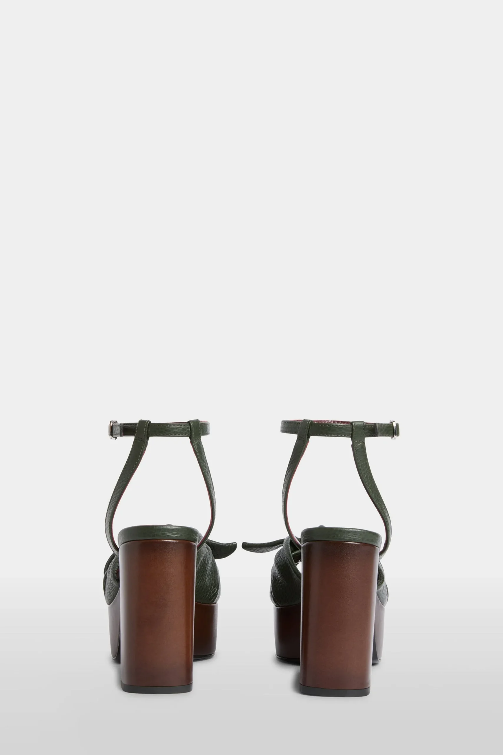 Dana Verdi con Fiocco